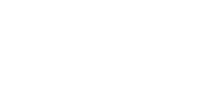 Qlik logo white 300x125 - Products