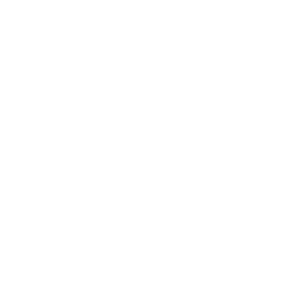 Logo EMARK Data Talks biele bez pozadia 1 300x300 - Webinár: Digital transformation