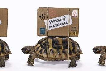 Home Late delivery thumbnail 360x240 - Home